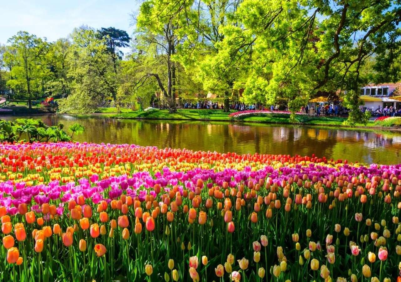 Este precioso parque abre durante poco menos de dos meses al año, a principios de primavera, el periodo en que brotan las flores de los bulbos de tulipán.