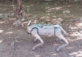 As&iacute; es el robot agricultor con forma de perro que recorre los cultivos y analiza cada planta con inteligencia artificial