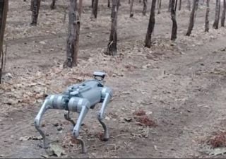 Creato robot agricolo a forma di cane che cura le coltivazioni usando l'intelligenza artificiale