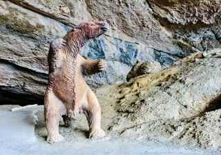 Así es la Cueva del Milodón, una de las cavernas más grandes de Chile