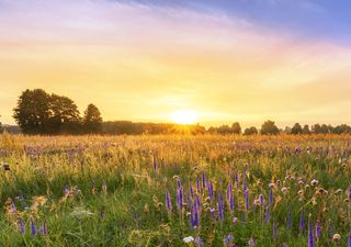 Así es la primavera: días de contrastes térmicos y posibles chubascos