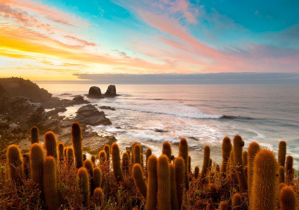 Punta de Lobos, Pichilemu, Chile.