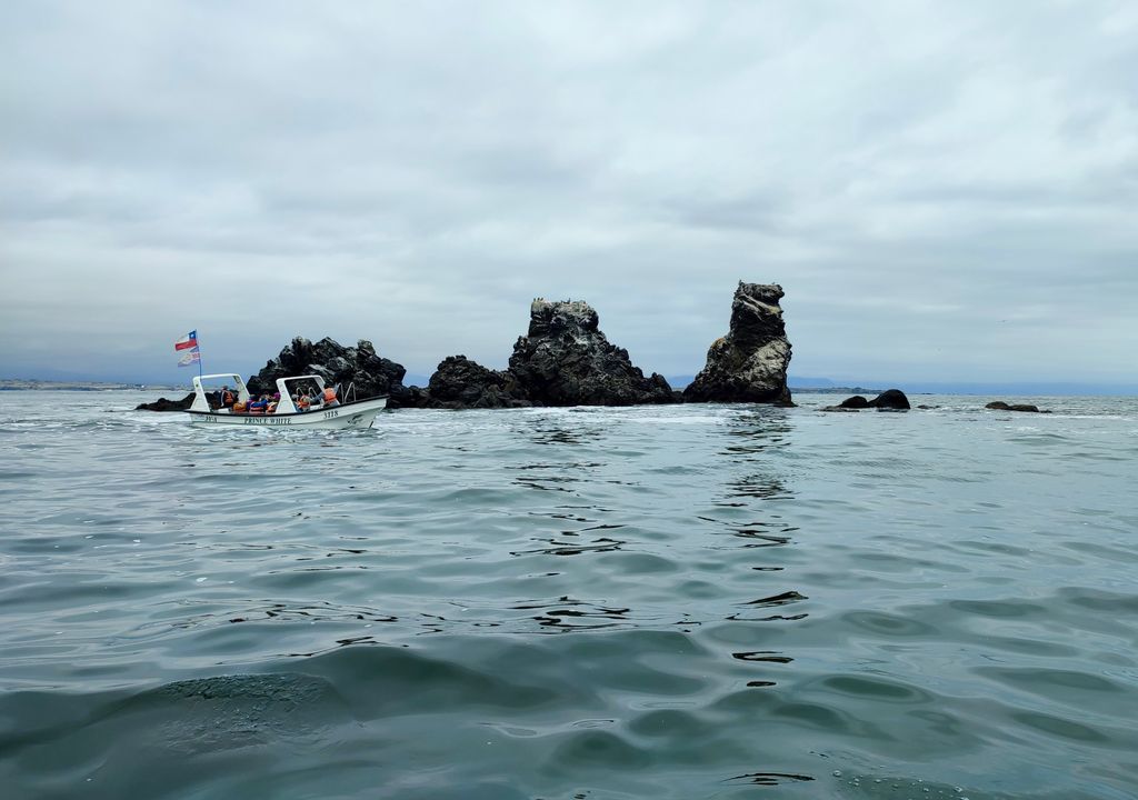 Navegación por la Reserva Nacional Pingüino de Humboldt, Punta de Choros, Coquimbo. Navegación por la Reserva Nacional Pingüino de Humboldt, Punta de Choros, Coquimbo.
