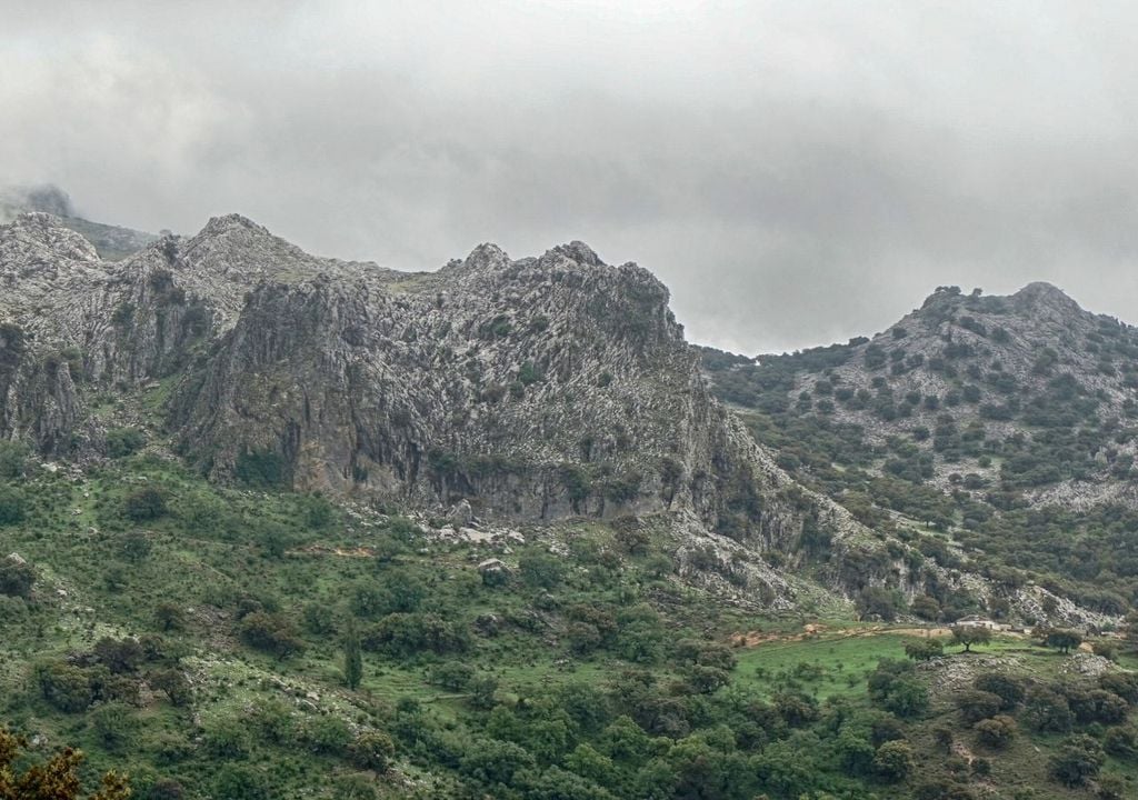 Con el suelo completamente saturado, disminuye su cohesión y aumenta la probabilidad de deslizamientos y desprendimientos en la sierra de Grazalema