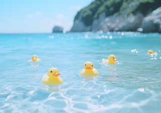 Así fue como unos patitos de goma se convirtieron, sin querer, en el más increíble experimento científico 