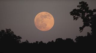 Así fue la Superluna Rosa