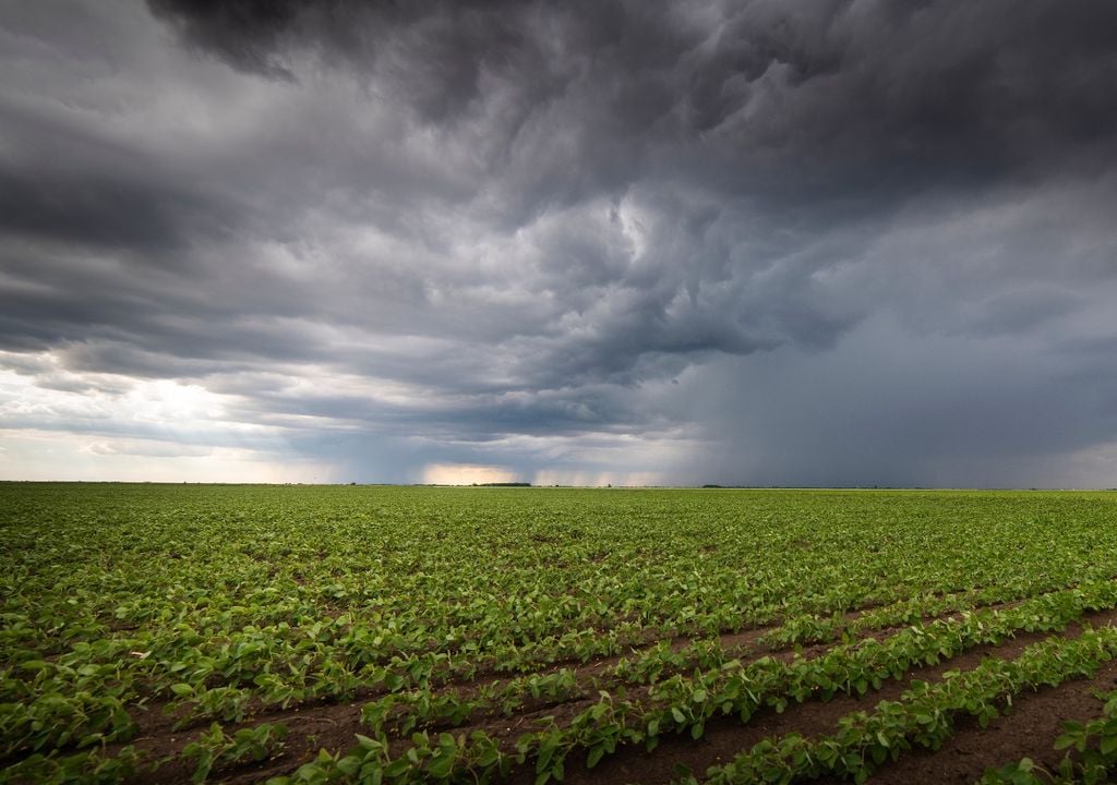 Temporal lluvias Buenos Aires cultivos Agro campo