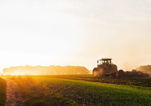 As&iacute; llega la primavera 2026 en M&eacute;xico: qu&eacute; sembrar y qu&eacute; riesgos enfrenta el campo