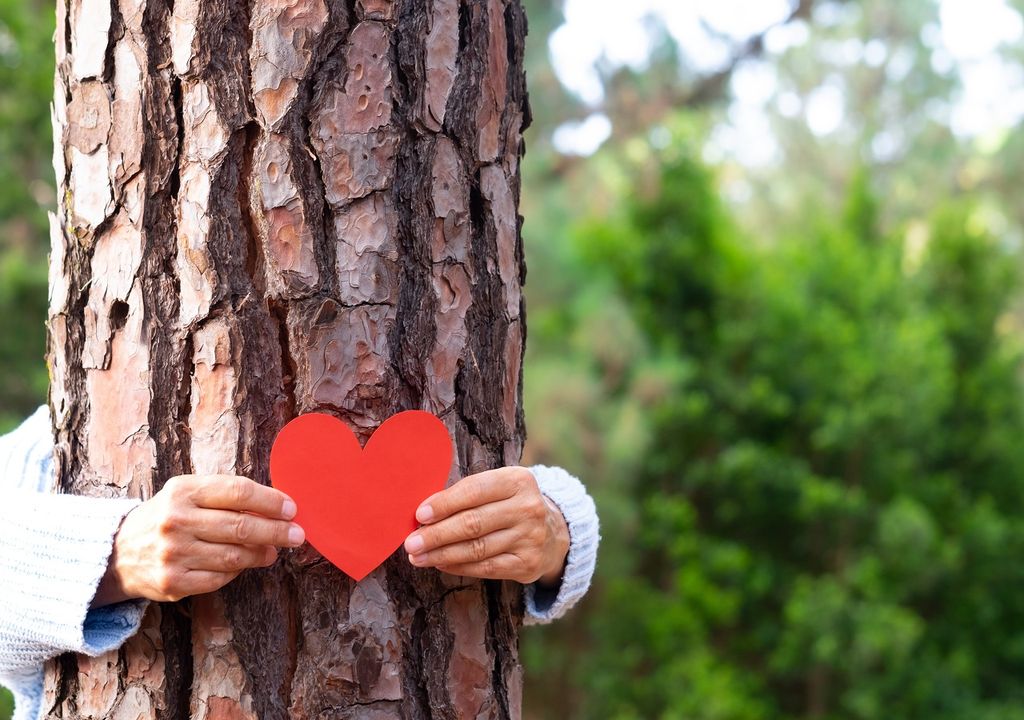 Persona abrazando un árbol, corazón de papel, bosque al fondo.