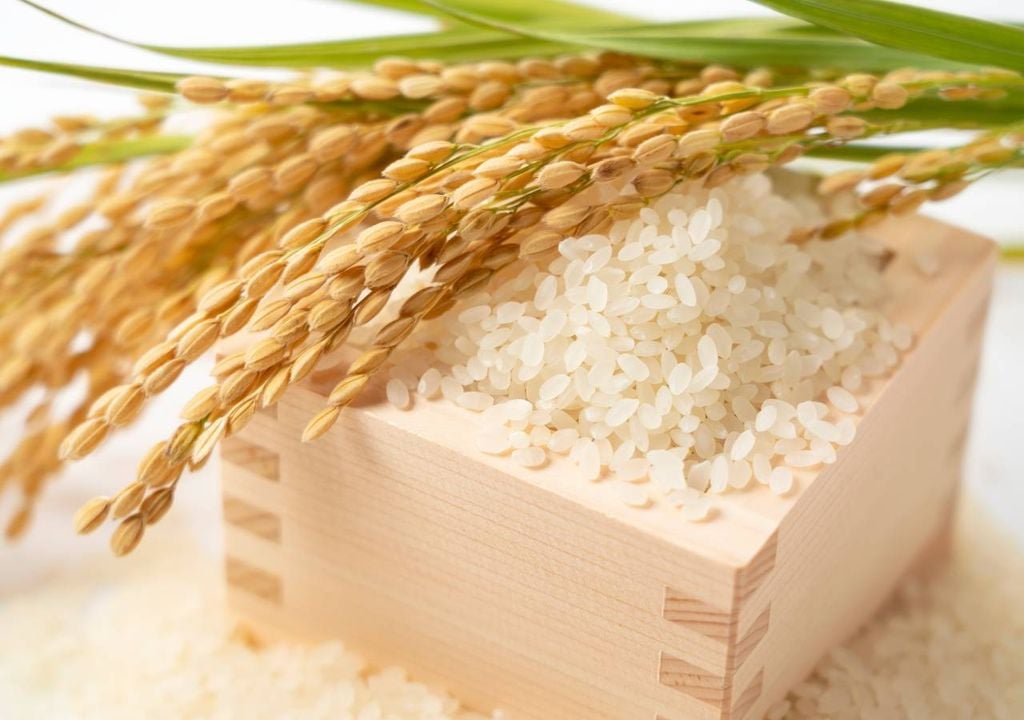 Arroz Arroz