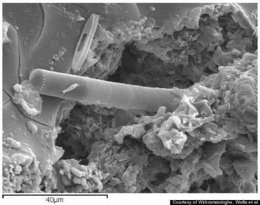 Astrobiólogo Afirma Haber Encontrado Prueba De Vida Extraterrestre En Un Meteorito Astrobiólogo Afirma Haber Encontrado Prueba De Vida Extraterrestre En Un Meteorito