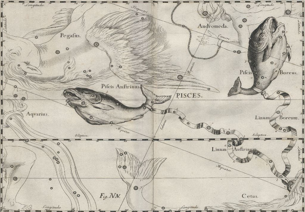 La costellazione dei Pesci nella rappresentazione di Jan Hevelius (XVII secolo).