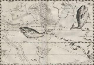 Astronomia: il Sole entra oggi tradizionalmente nei Pesci, ma la sua vera posizione &egrave; in Aquario