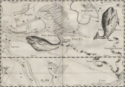 Astronomia: il Sole entra oggi tradizionalmente nei Pesci, ma la sua vera posizione &egrave; in Aquario