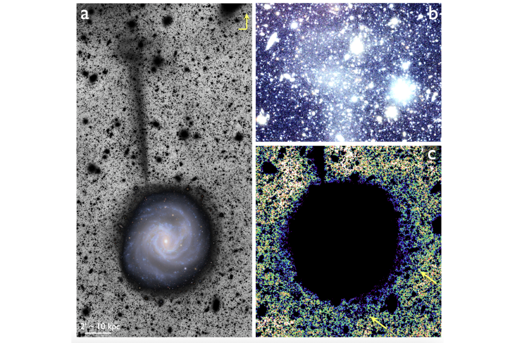 Imagens obtidas pelo observatório Vera Rubin mostram região de estrelas em torno de galáxia que ajuda a entender a dinâmica desses objetos. Crédito: Romanowsky et al. 2025