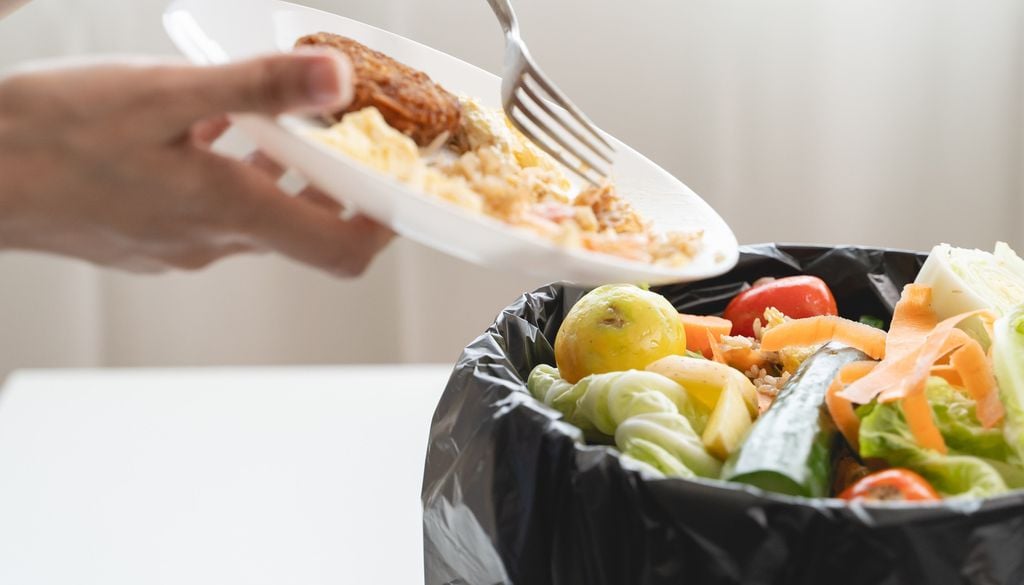 Gaspillage alimentaire poubelle jeter nourriture assiette fourchette Au lieu de jeter, vous pouvez congeler ou réutiliser vos restes.