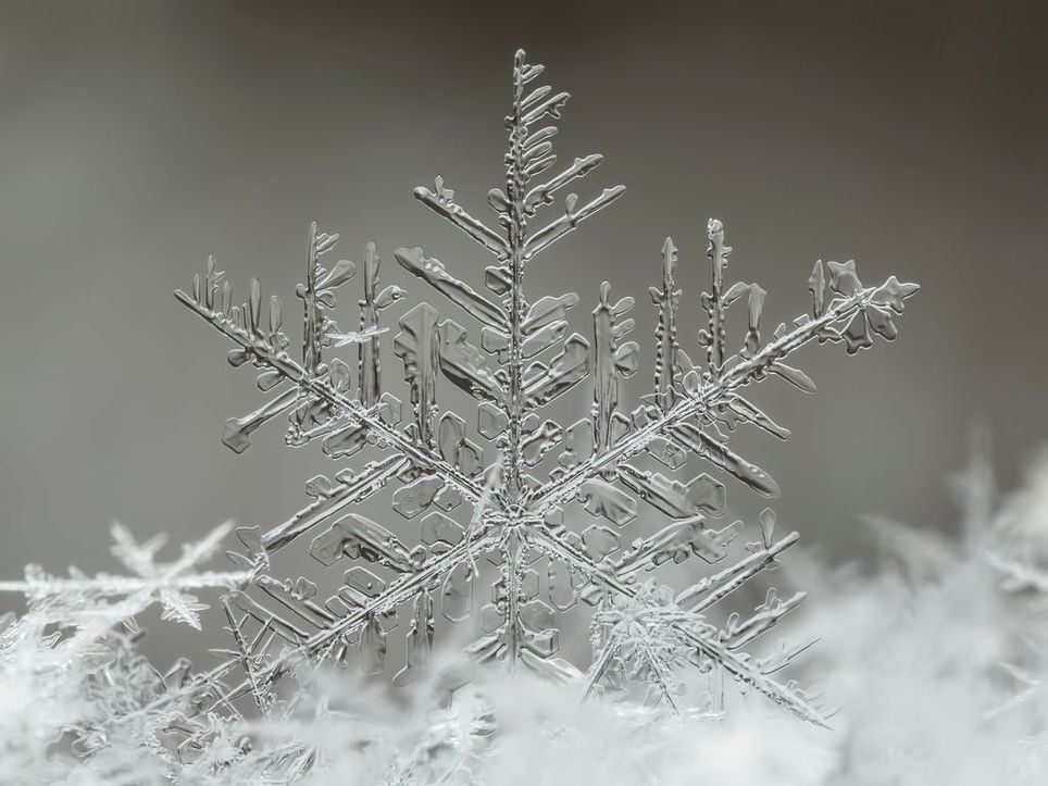 What Do Ice Crystals In The Freezer Mean