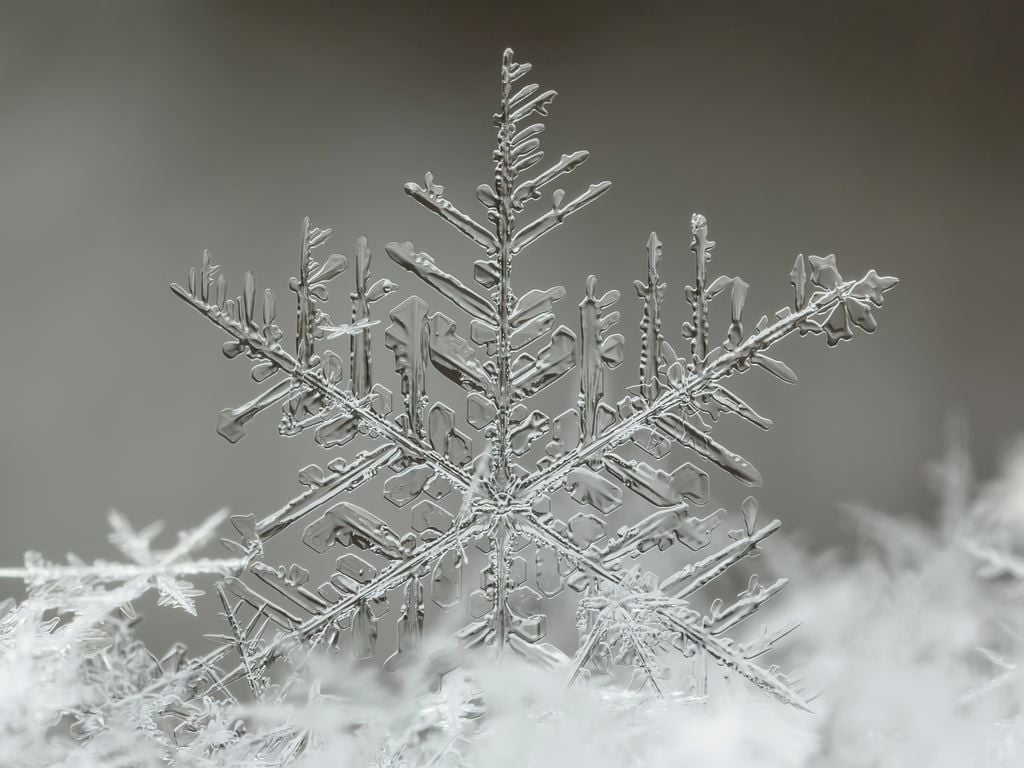 How does frost form? Here are some frost facts to know