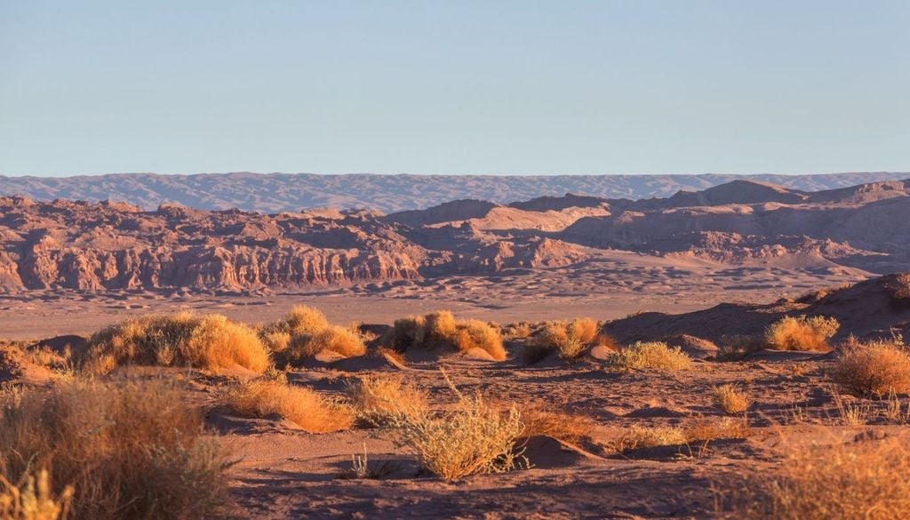 El hallazgo no significa que el Atacama del pasado fuera una selva. Lo que muestra es que su historia climática fue mucho más cambiante y localizada de lo que su apariencia actual podría sugerir.