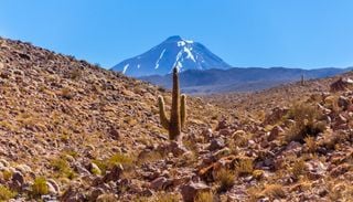 Atacama y Coquimbo: por qu&eacute; la lluvia extrema es tan inusual y grave ah&iacute;