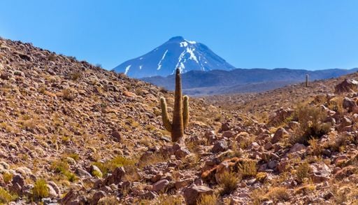 Atacama y Coquimbo: por qu&eacute; la lluvia extrema es tan inusual y grave ah&iacute;