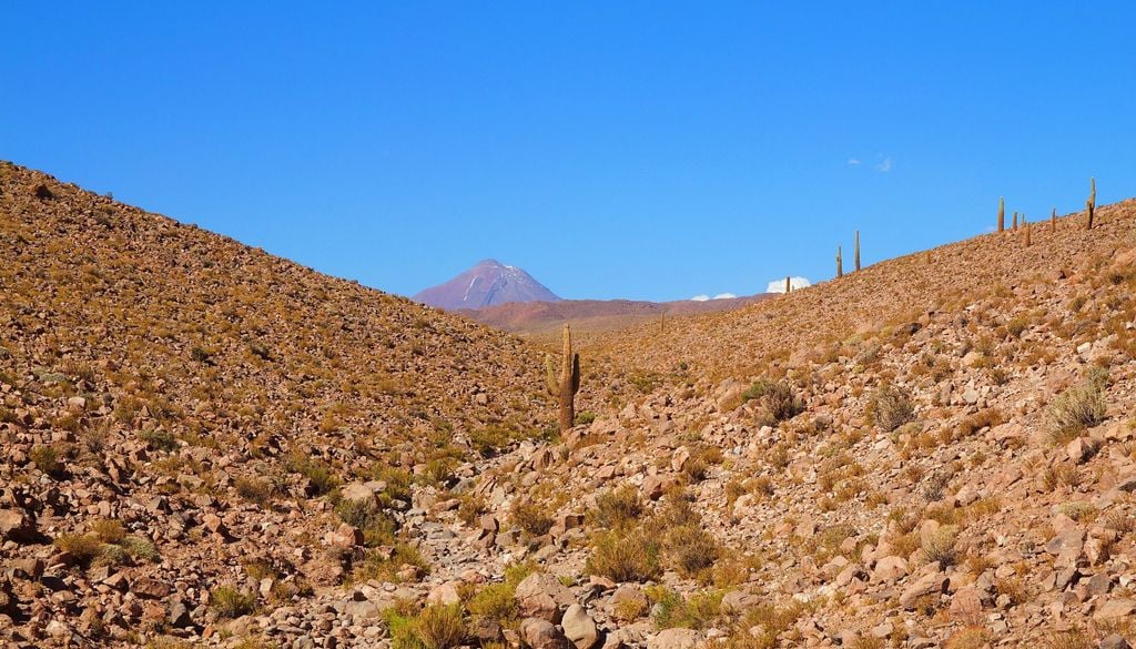 suelos del norte En sectores del suelo desértico donde el agua logra infiltrarse, los suelos pueden saturarse rápidamente, favoreciendo el transporte de sedimentos. Crédito imagen: @jonny_joka / Pixabay