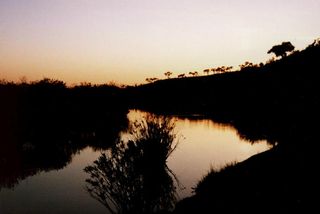 Atardecer en el río Bodión 