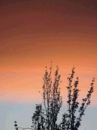 Atardecer en las estribaciones de Gredos