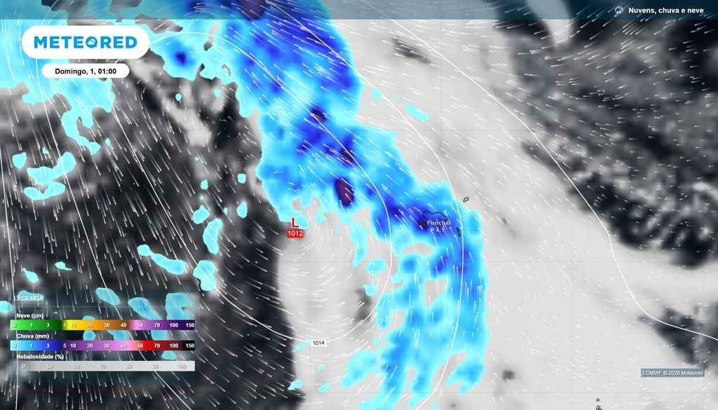 Bandas de nebulosidade e precipitação geradas pelo sistema depressionário na Madeira à 01:00 da manhã de domingo, 1 de novembro.