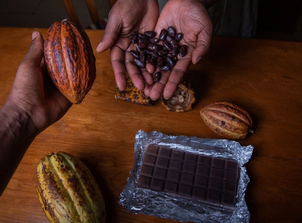 chocolate cacao chocolate cacao