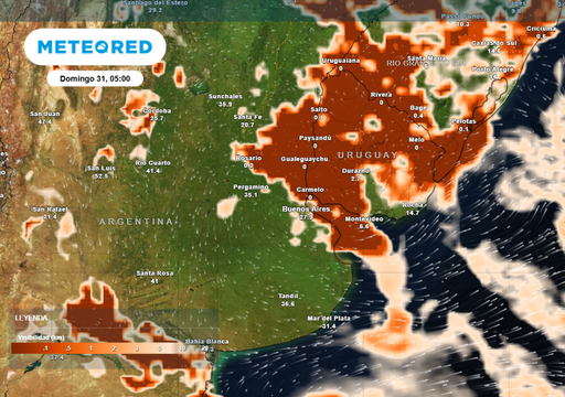 Atm&oacute;sfera bloqueada en el AMBA: hasta cu&aacute;ndo la niebla y la humedad se quedan "a vivir" en Buenos Aires