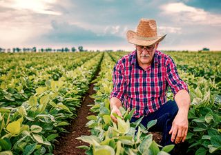 Nueva metodología para el riego agrícola sustentable