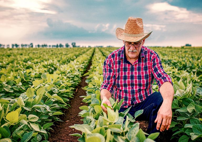 Nueva metodología para el riego agrícola sustentable Nueva metodología para el riego agrícola sustentable