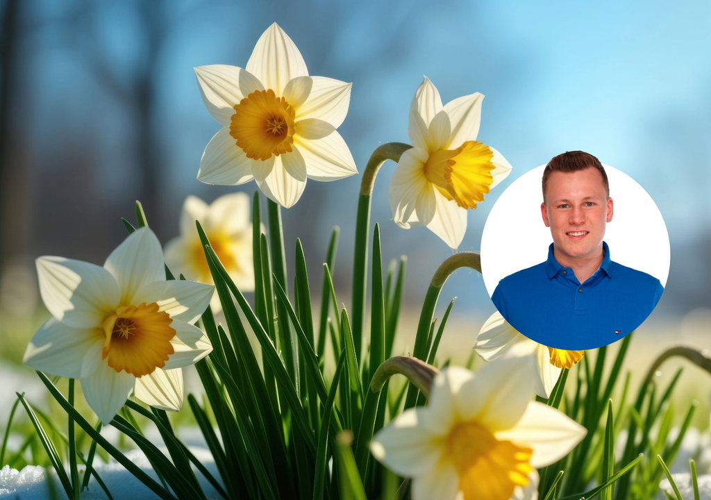 winter vorbei, warm, frühling Der Winter scheint vorbei, der Frühling kommt mit Macht. Bis Anfang März bleibt es in Deutschland sehr mild.