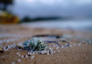 Atmospheric microplastics polluting remote areas of planet