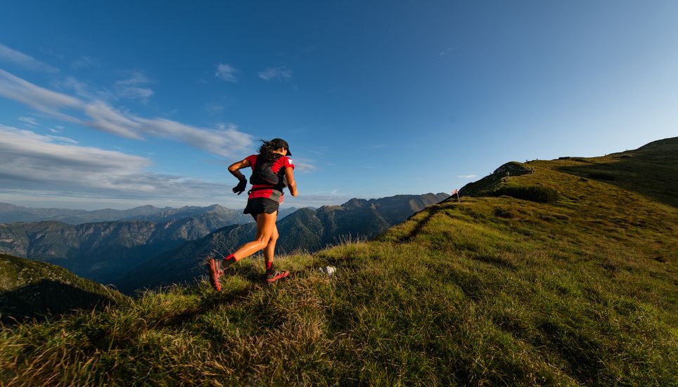 Il est très courant de croiser des chamois dans la nature. Il est très courant de croiser des chamois dans la nature.