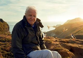 David Attenborough to present major new UK wildlife series