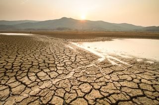 Atribución de fenómenos meteorológicos extremos: ¿pueden vincularse directamente las olas de calor al cambio climático?