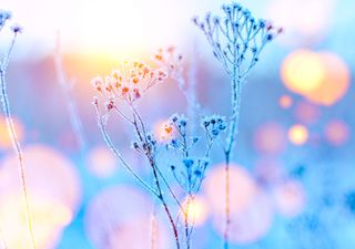 Atualização sobre intensa massa polar: É verdade que haverá neve e geada?