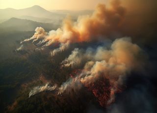 Au Canada, déjà plus de 10 millions d'hectares brûlés, soit un cinquième de la France !
