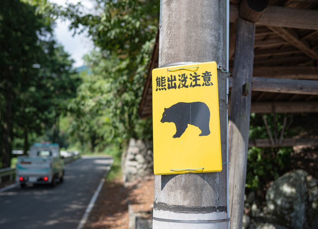 Ours Japon panneau danger attaque