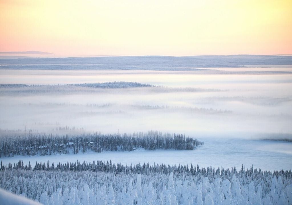 Bäume in kälteren Gebieten sorgen eher dafür, dass der kühlende Effekt der Schneedecke aufgehoben wird – die Erde erwärmt sich. Bild: Saad Chaudhry/Unsplash