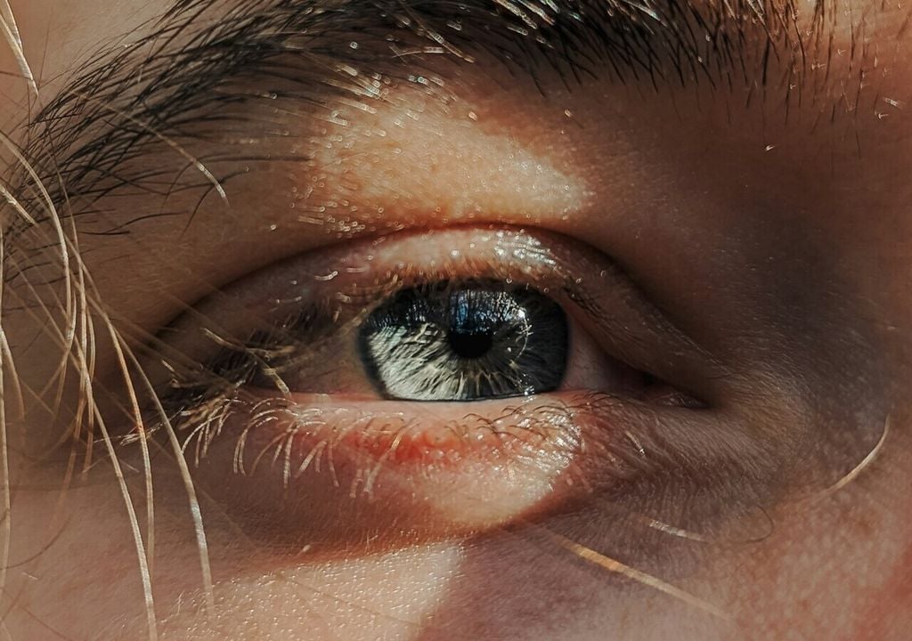 Durch den Klimawandel verschieben sich zunehmend die Grenzen für Krankheitsbilder wie Dengue oder Rickettsiosen. Durch den Klimawandel verschieben sich zunehmend die Grenzen für Krankheitsbilder wie Dengue oder Rickettsiosen.