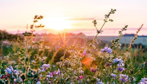 "Augtober": Warum der Herbst f&uuml;r viele schon im August beginnt