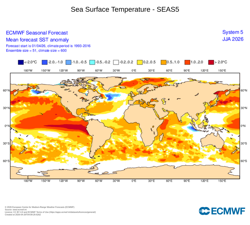 Anomalías medias de la temperatura superficial del agua del mar, SST, para el periodo de junio a agosto, JJA, con las anomalías frías/cálidas en tonalidades azules/rojas. Se aprecia la señal de un evento de El Niño en el Pacífico ecuatorial central-oriental ECMWF.