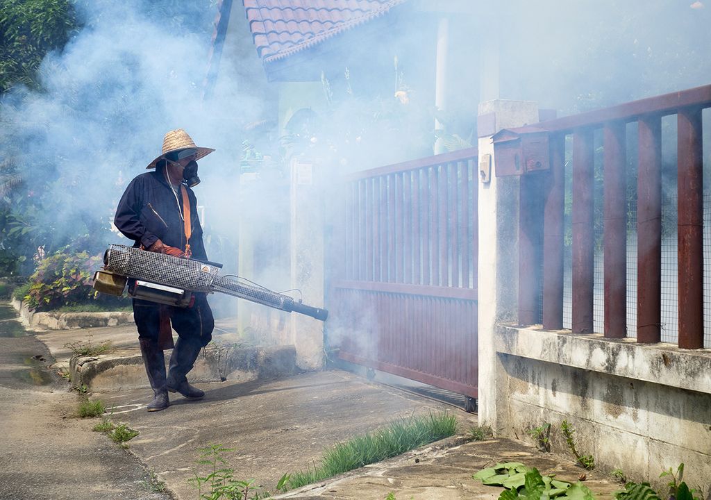 mosquito enfermedad dengue fiebre chikungunya zika descacharrar lluvias calor humedad fumigar