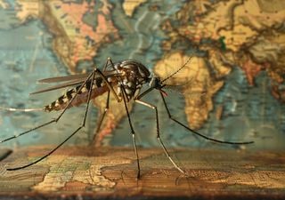 Aumento de Dengue no Brasil pode ter sido agravada por mudanças climáticas