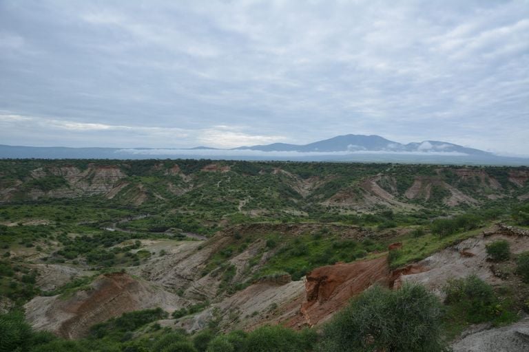 Un nuevo análisis pone en duda el aumento del clima seco en el norte de África en la antigüedad y la evolución humana