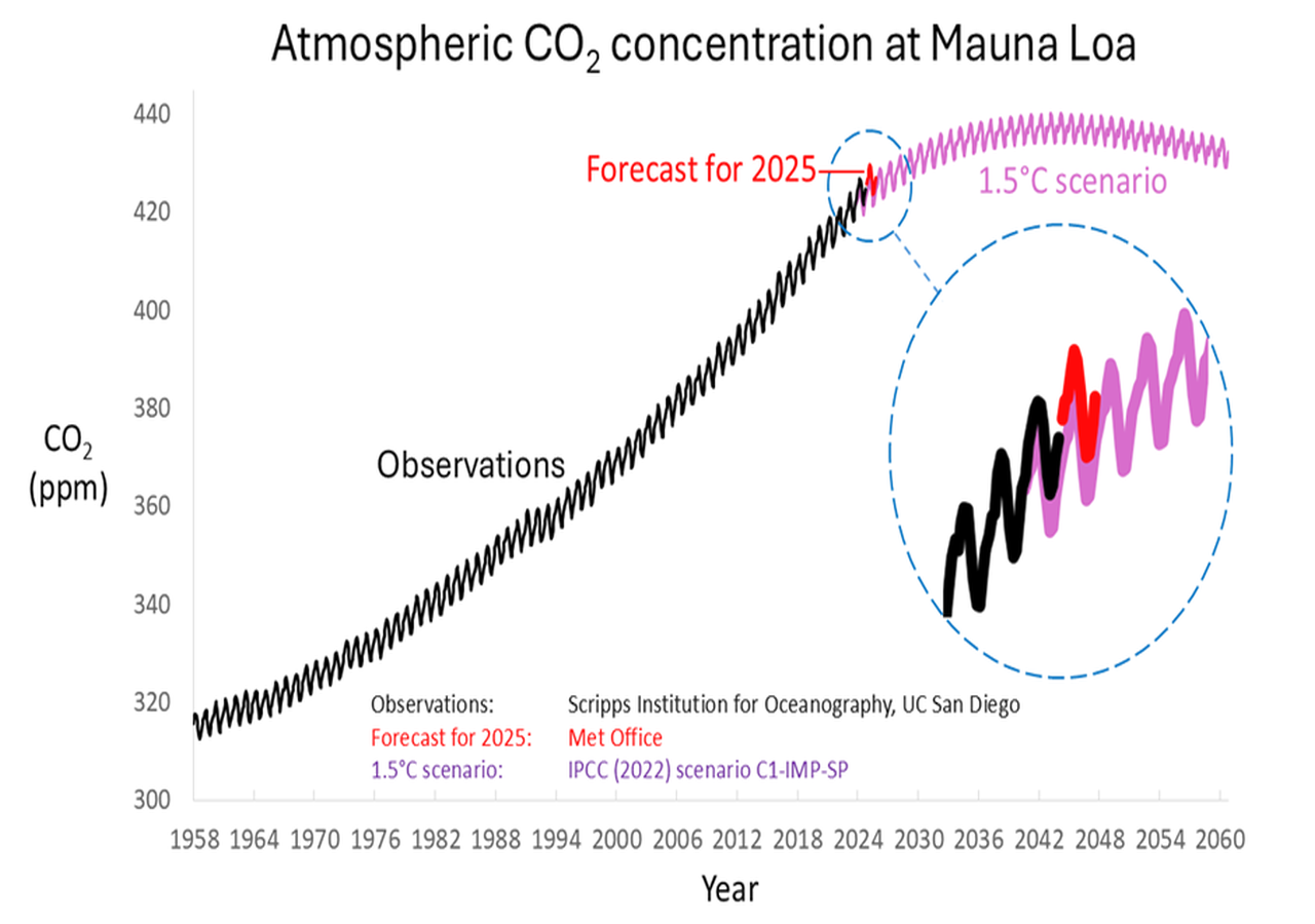 Evolución observada, en negro, y prevista, rojo-violeta, de la concentración CO2 en Mauna Loa. Met Office