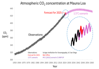 El año pasado se produjo el aumento anual más rápido de la concentración atmosférica de CO₂, gas efecto invernadero